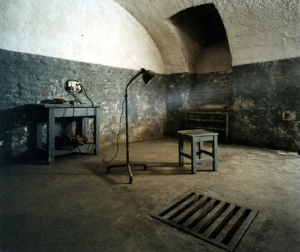 A cell